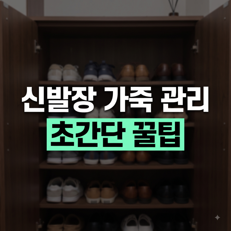 계절 바뀌기 전 신발장 습기 제거하고 가죽 신발 관리하는 요령