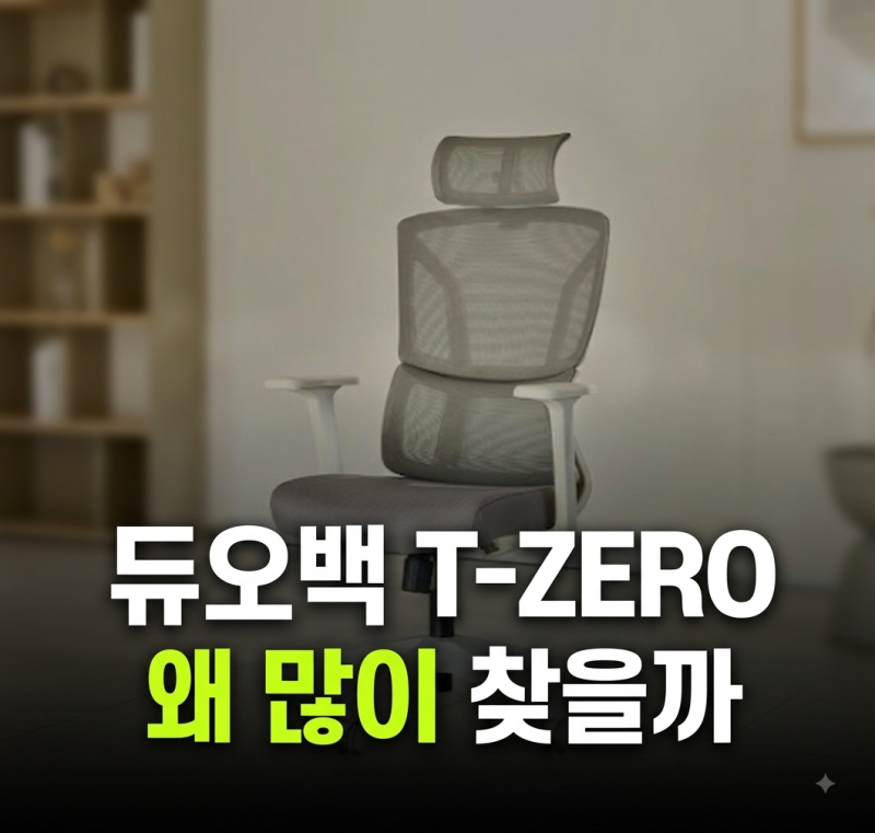 듀오백 T-ZERO 메쉬 의자 최저가만 보면 놓치는 것, 저렴하게 사는 방법까지