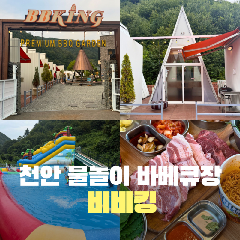 천안 물놀이 바베큐 추천 ‘비비킹’ 수영장 애견동반 가든A8 이용후기
