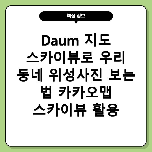 Daum 지도 스카이뷰로 우리 동네 위성사진 보는 법 카카오맵 스카이뷰 활용