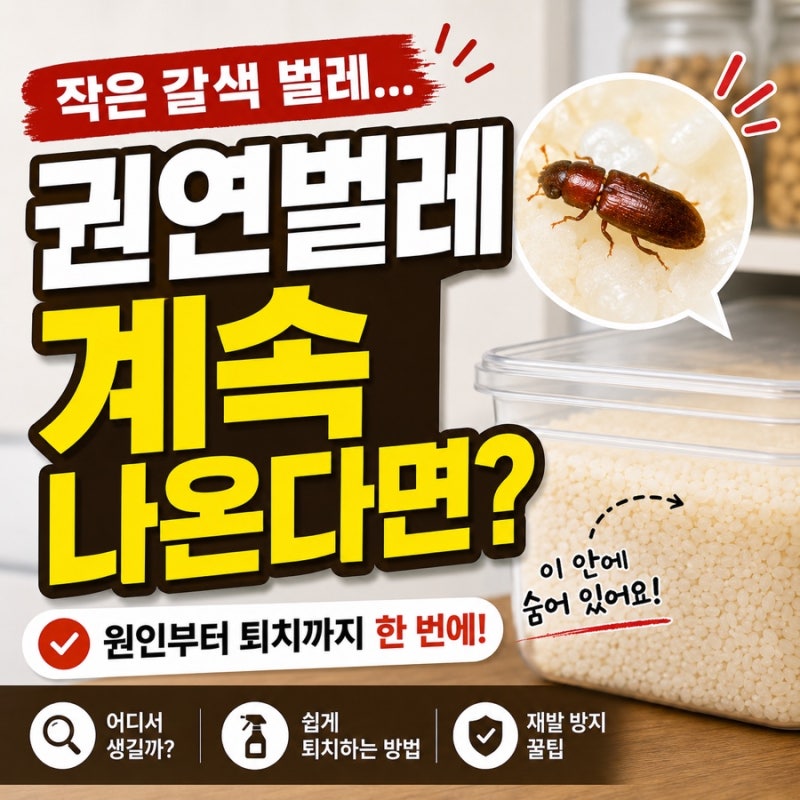 집에 작은 갈색 벌레가 계속 나온다면? 잡기 전에 이것부터 확인하세요