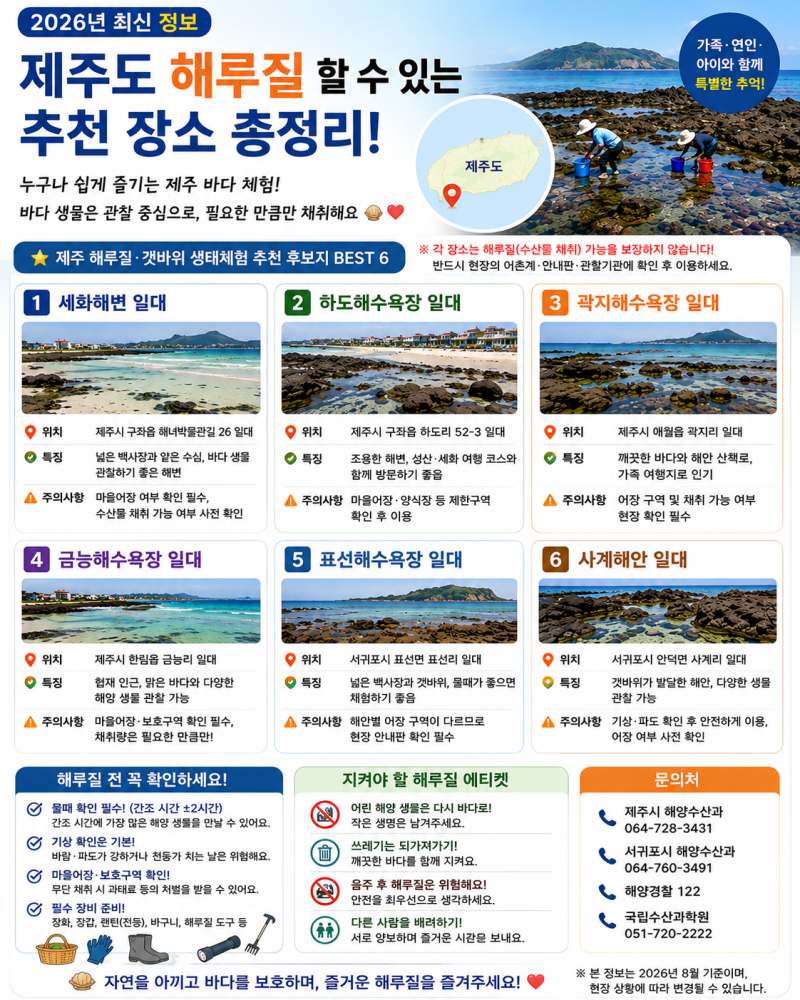 2026 제주도 해루질·갯바위 생태체험 추천 장소 BEST 6