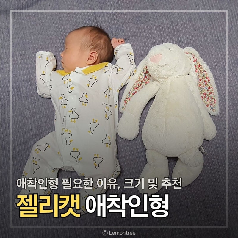 아기 애착인형 필요한 이유, 젤리캣 고르는 법 사이즈 추천 팁