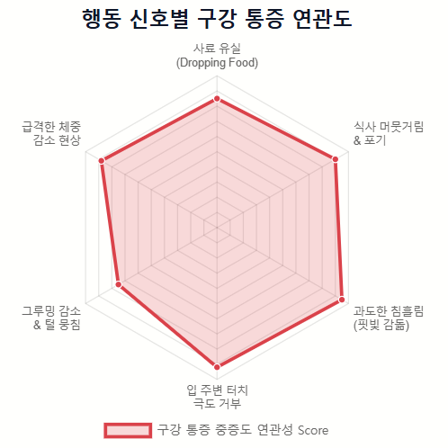 고양이 입냄새, 그냥 냄새가 아닙니다! 치은염·치주질환·구내염 구별법