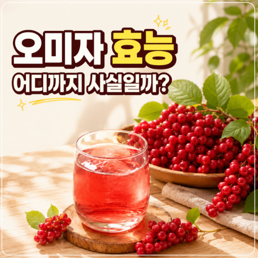 [알쓸정보] 오미자 효능 제대로 알아보기, 오미자청도 같은 효과가 있을까?