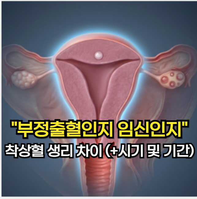 착상혈 나오는 시기, "부정출혈인지 임신인지" 착상혈 생리 차이 (+ 시기 및 기간)