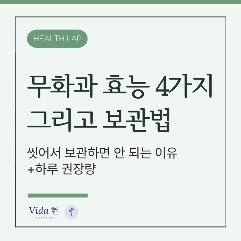 무화과 효능 4가지와 보관법, 씻어서 보관하면 안 되는 이유 (하루 권장량까지)