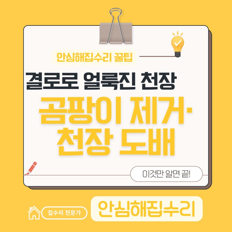 시스템에어컨 곰팡이 도배 비용, 작업 범위에 따라 달라지는 이유