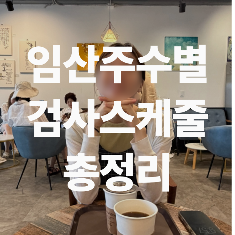 임신 초기부터 막달까지 주수별 검사 스케줄 총정리(검사항목, 시기, 목적)