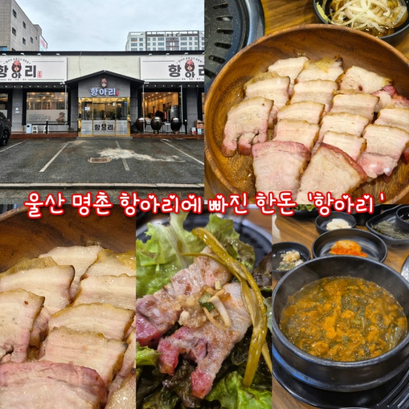 [명촌 돼지고기] 돼지가 항아리에 빠지면 일어나는 일? 육즙 반전 '항아리'
