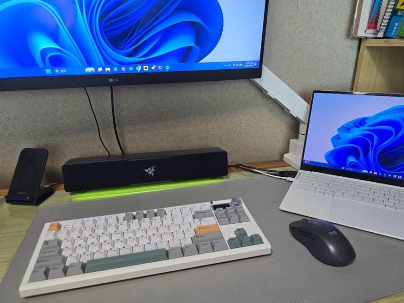 로지텍 M650L 후기 — M331·M170 크기 무게 비교, 무선마우스 추천 (블루투스 vs 볼트 리시버)