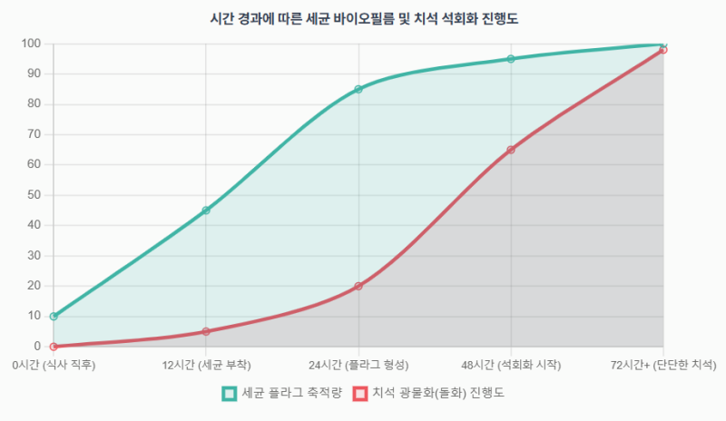 고양이 구강관리 심화편｜치석·치은염·치주질환·구내염 완벽 정리