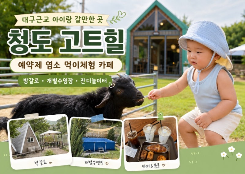 청도 아이랑 가볼만한곳 고트힐｜대구근교 염소 먹이체험·프라이빗 방갈로 카페
