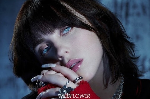 우울할 때 듣는 빌리아일리시 노래 추천 Billie Eilish - WILDFLOWER 가사 해석 뮤비 라이브