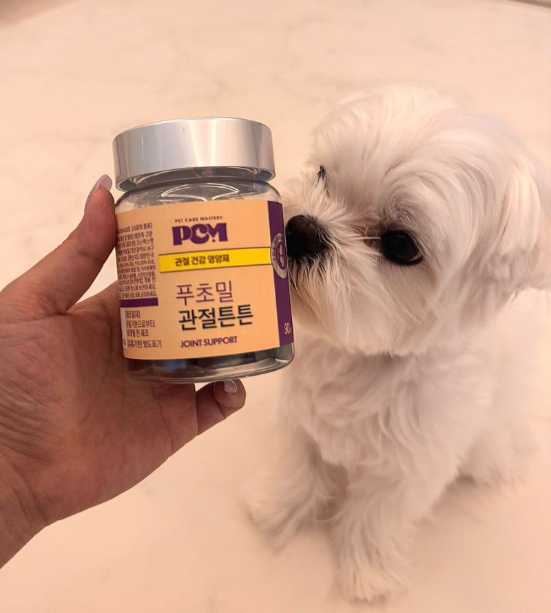 푸초밀 관절튼튼 강아지 관절 영양제 슬개골 보호 후기