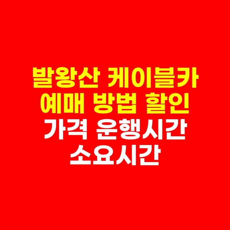 발왕산 케이블카 예매 방법 할인 가격 운행시간 소요시간