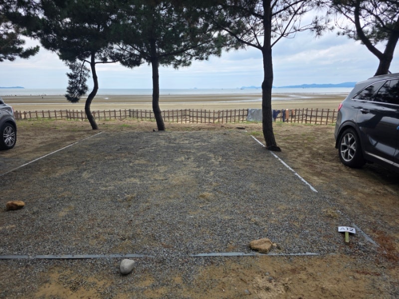 ⛺️태안 달산포 진주캠핑장 후기 : 해루질 하기 좋은 서해안 캠핑장