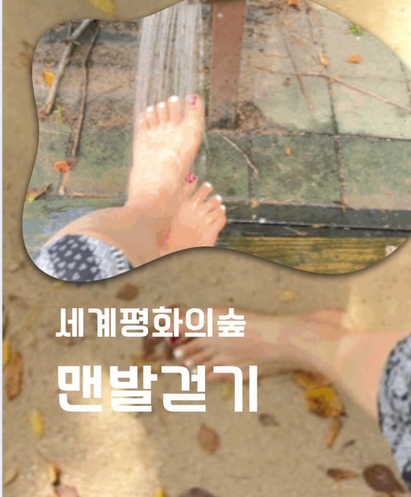 영종도 맨발걷기 세계평화의숲