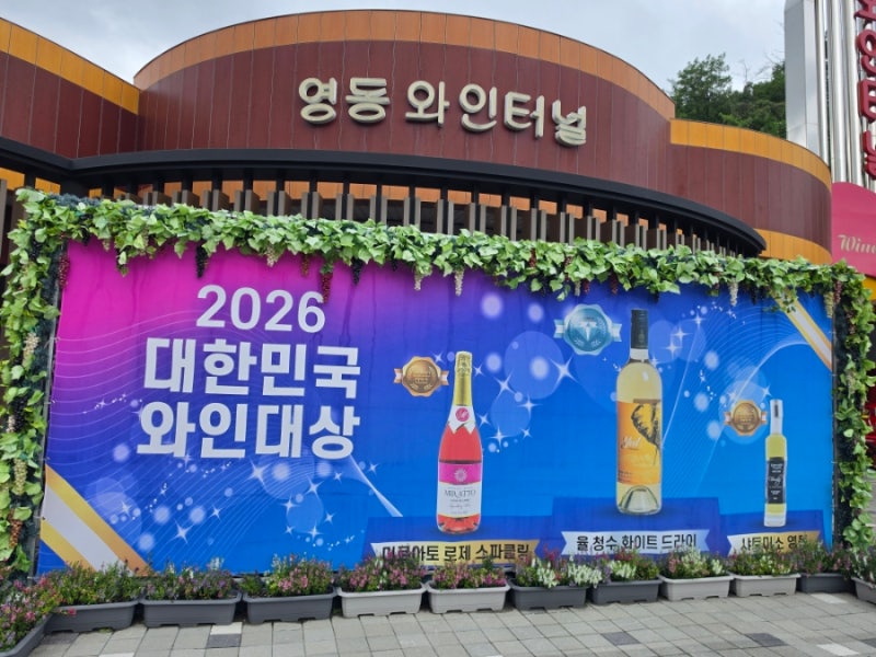 충북 영동 가볼만한곳 영동와인터널 입장료 2000원 할인 팁 총정리