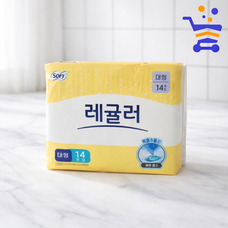 바디피트생리대 대형 구매 전 구성과 가격 체크 가이드