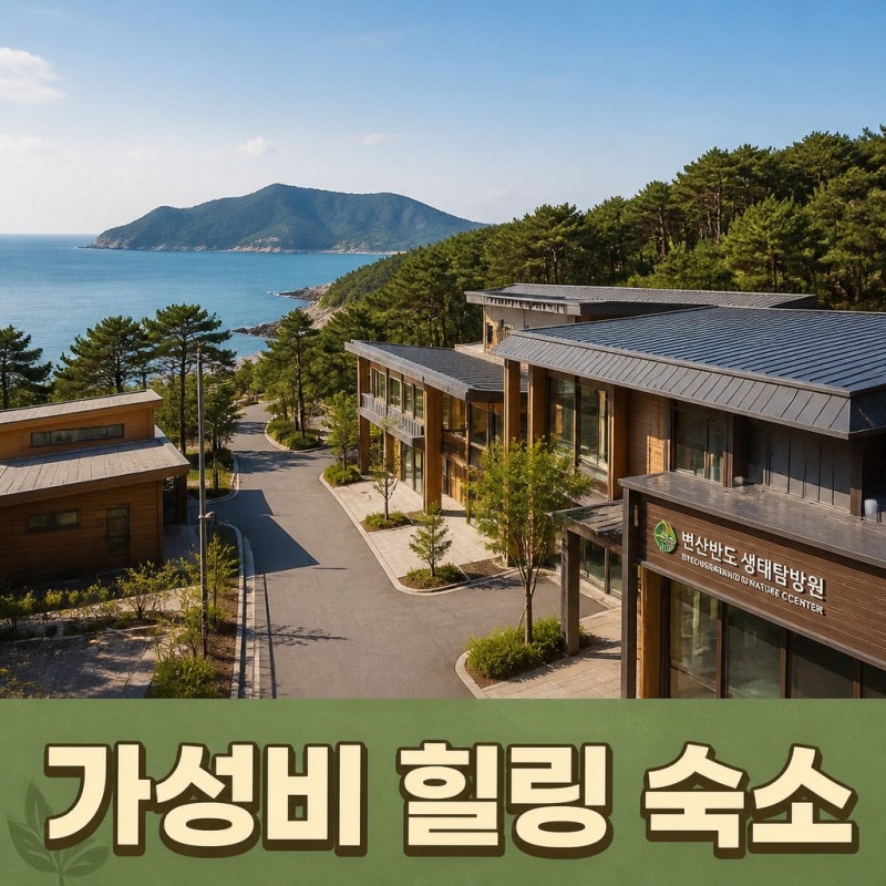 변산반도 생태탐방원 예약 팁과 객실 요금 총정리