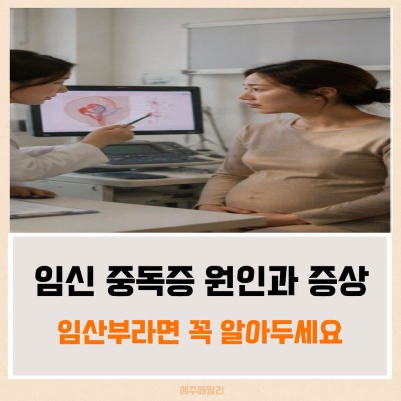 임신 중독증 뜻과 원인 총정리, 임신 중 꼭 알아야 할 증상과 위험요인