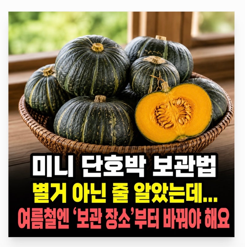미니 단호박 보관법 별거 아닌 줄 알았는데... 여름철엔 ‘보관 장소’부터 바꿔야 해요