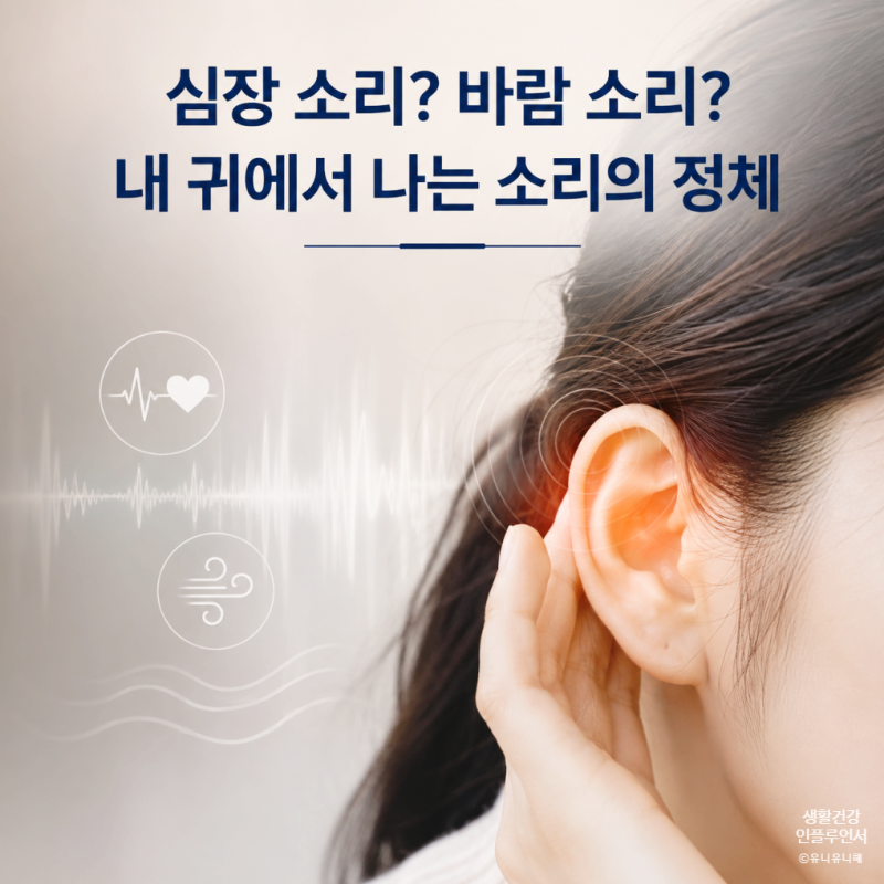 귀에서 삐소리가 나요! 이명일까? 귀에서 심장소리, 웅웅 소리별 원인