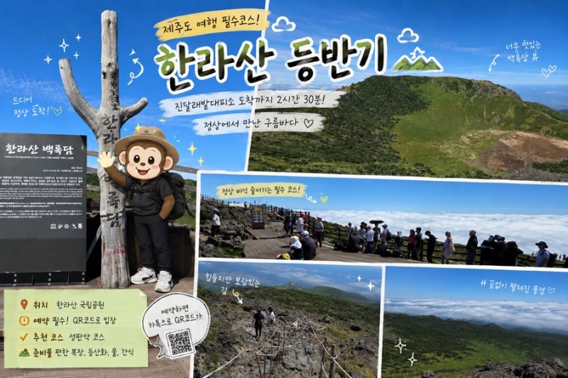 한라산 탐방예약 방법 하는법 한라산 등반 성공!