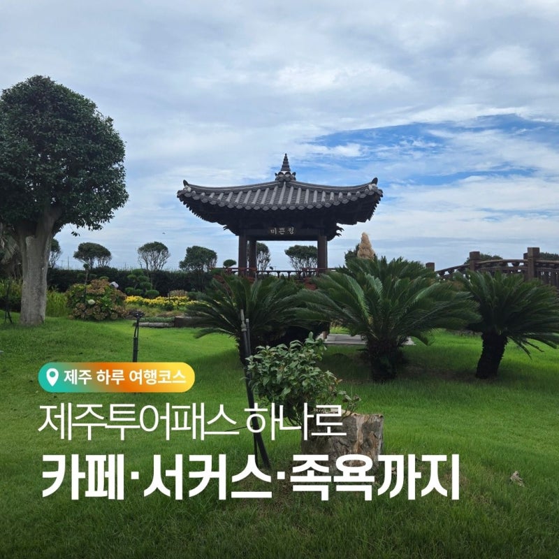 [코스여행] 제주투어패스 하루 코스 | 비 와도 즐기는 제주 서부 여행 코스 9