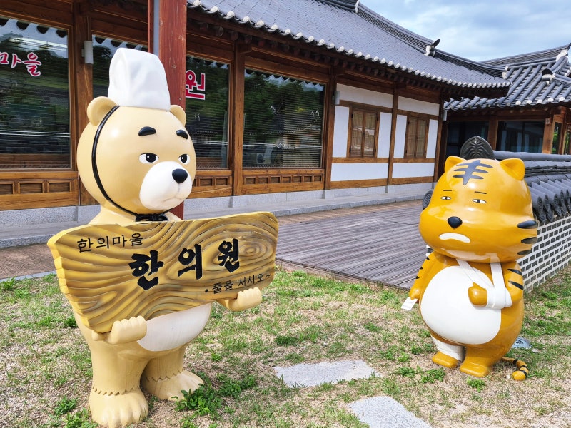 부모님 모시고 가기 딱 좋은 영천 한의마을! 체질 체험부터 카페까지 알찼던 영천 가족 여행....
