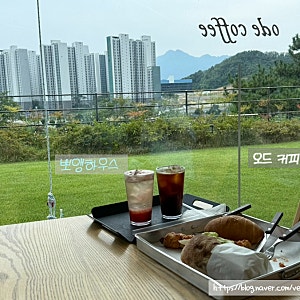 구미 오드커피 대형카페 빵 맛집 내돈내산 후기