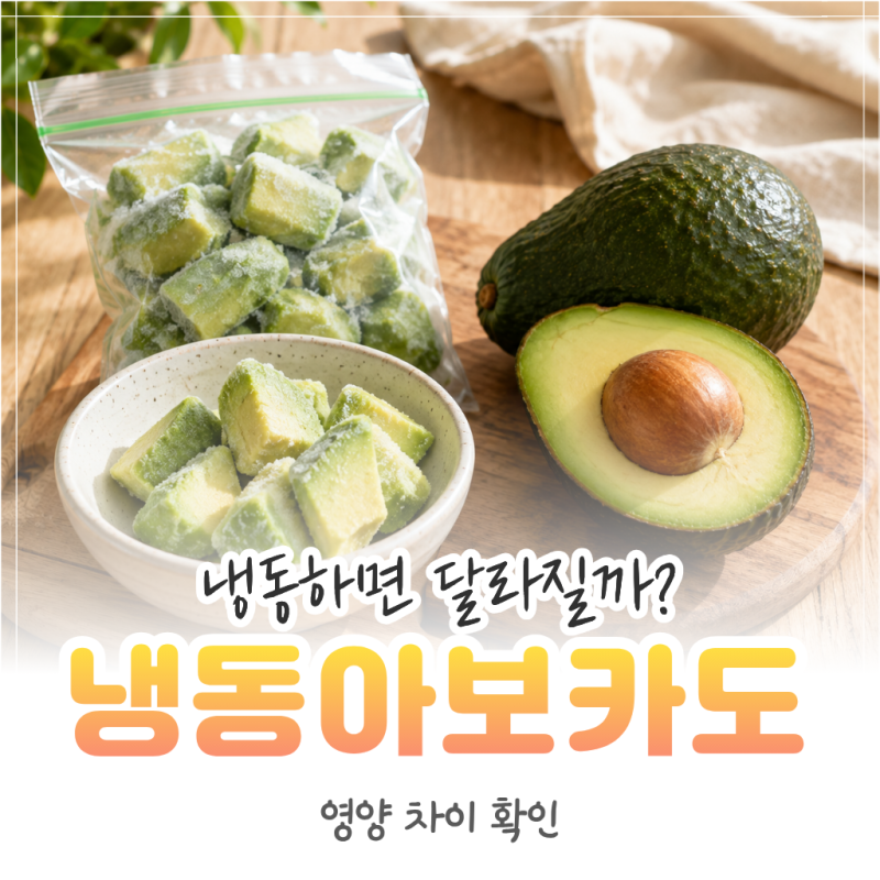 냉동 아보카도 효능, 신선 아보카도랑 차이 있을까? 후숙·활용법까지