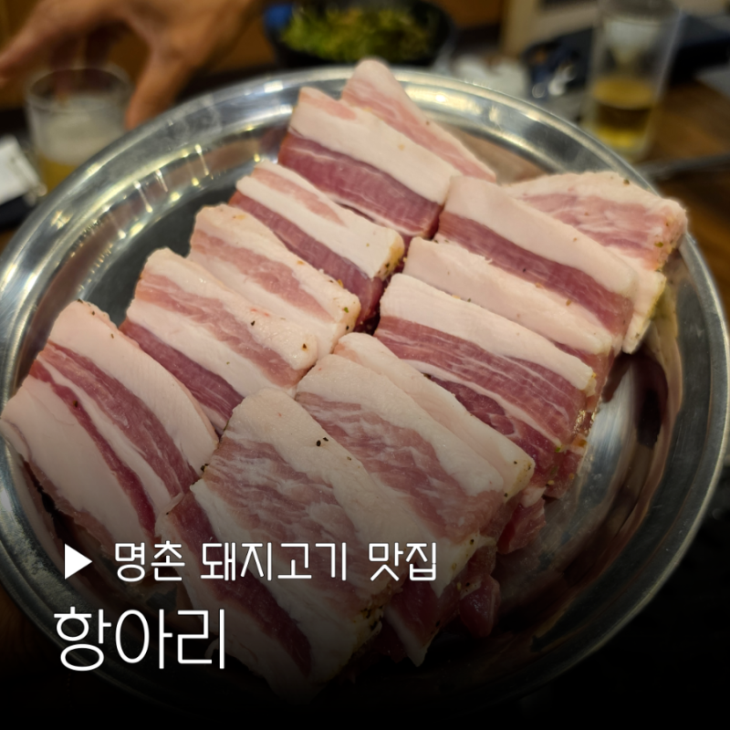 명촌 돼지고기 맛집 항아리 회식 외식 단체 룸식당 추천