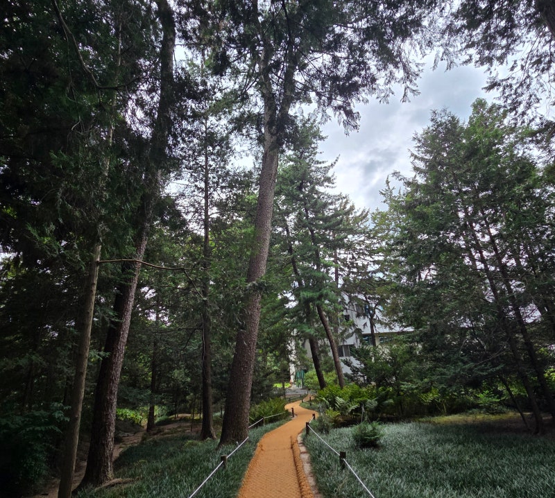 서울 도심 속 비밀의 정원 홍릉 수목원