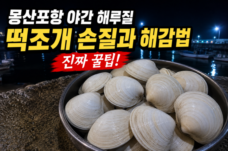 몽산포항 야간 해루질 떡조개 손질과 해감법 진짜 꿀팁
