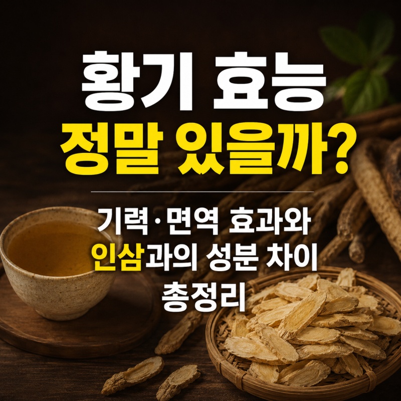황기 효능 정말 있을까? 기력, 면역 효과와 인삼과의 성분 차이 총정리