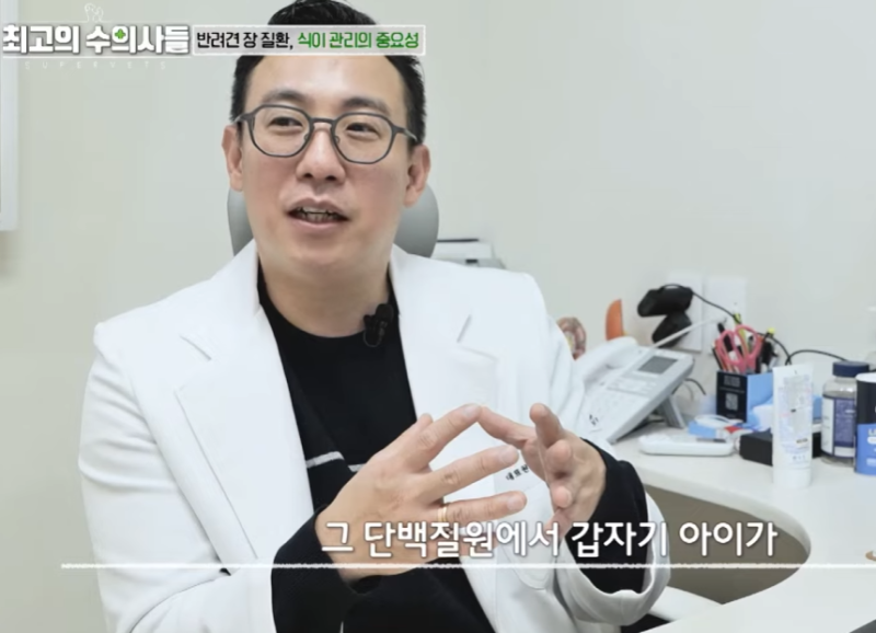 강아지 만성장염 증상, 구토와 설사가 자꾸 반복되는 이유