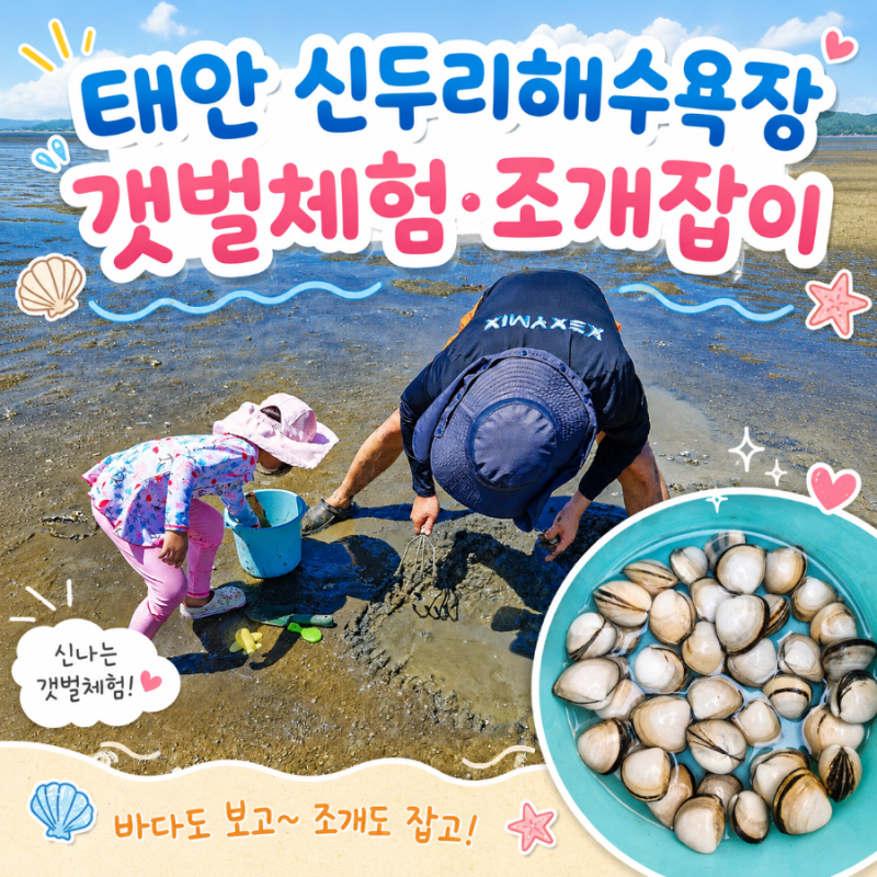 태안 신두리해수욕장 아이와 가볼만한곳｜갯벌체험·조개잡이·물놀이 주차 정보