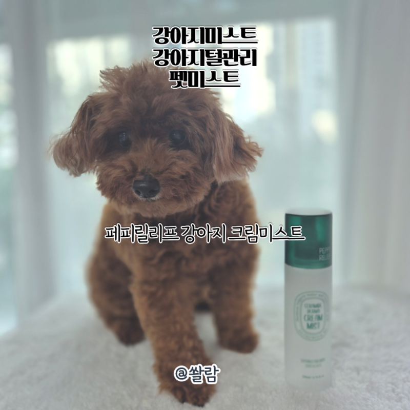 강아지미스트 추천 페피릴리프, 산책 후 털관리부터 냄새케어까지!