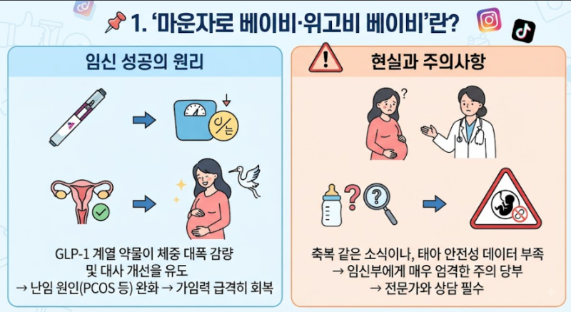 마운자로,위고비 베이비ㅣ 주의사항 총정리(+경구피임약 흡수율 관련 포함)