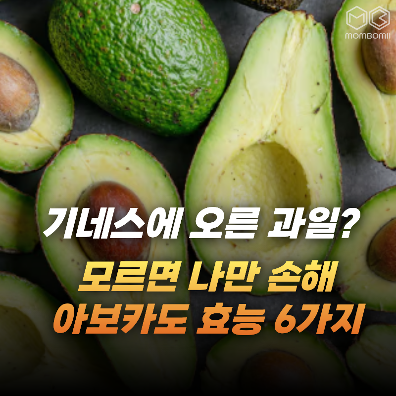 "과일인데 기네스에 올랐다고?" 모르고 먹으면 나만 손해인 아보카도 효능 6가지