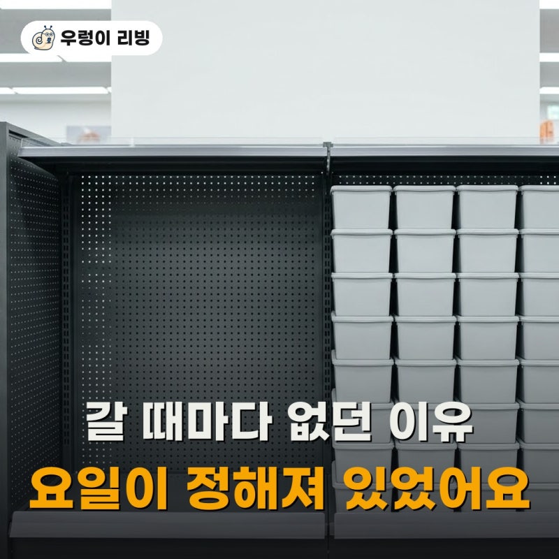 다이소 품절템은 운이 아니었어요, 재입고 요일부터 보고 가세요