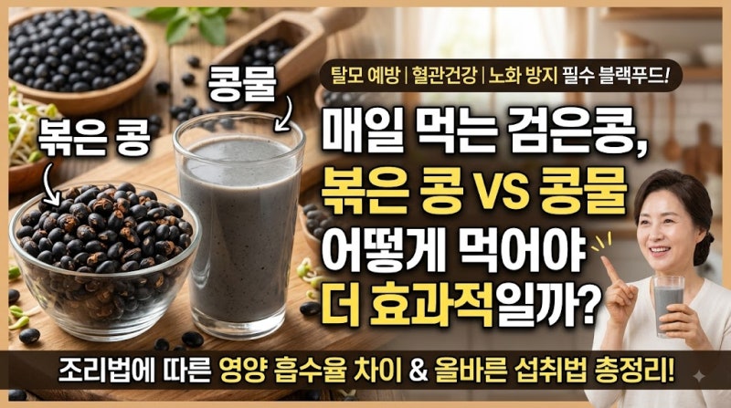 검은콩 효능과 하루 섭취량 부작용 없이 올바르게 먹는법