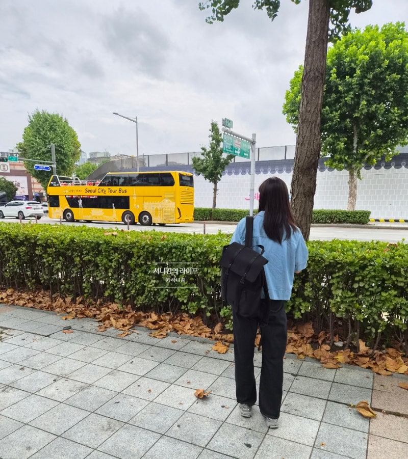 초경량 노트북 백팩 스타일까지 잡은 가스톤루가 스플래쉬