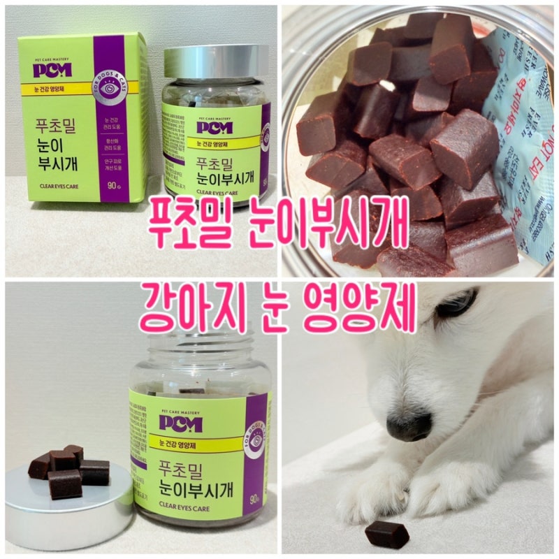 [강아지 눈 영양제] 푸초밀 눈이부시개 급여 후기(기호성)