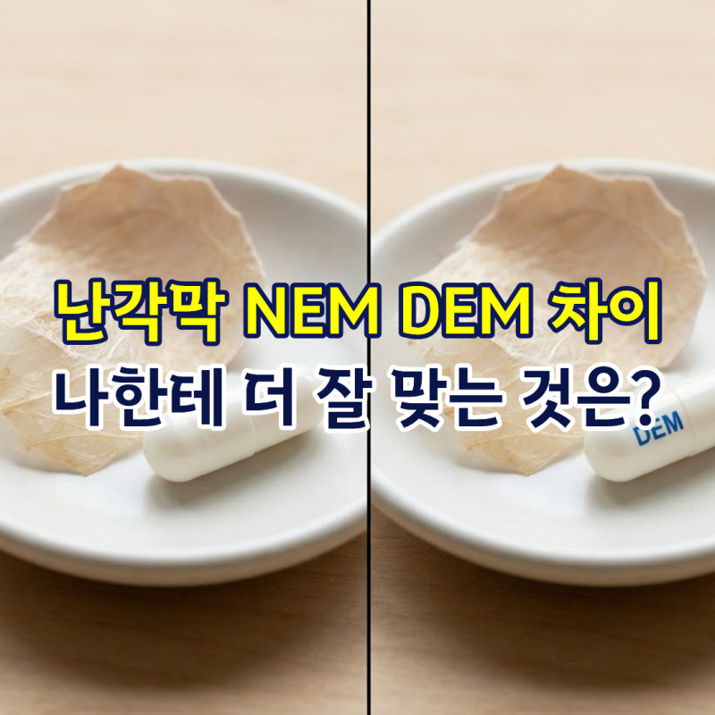 난각막 NEM DEM 차이, 나한테 더 잘 맞는 것은?