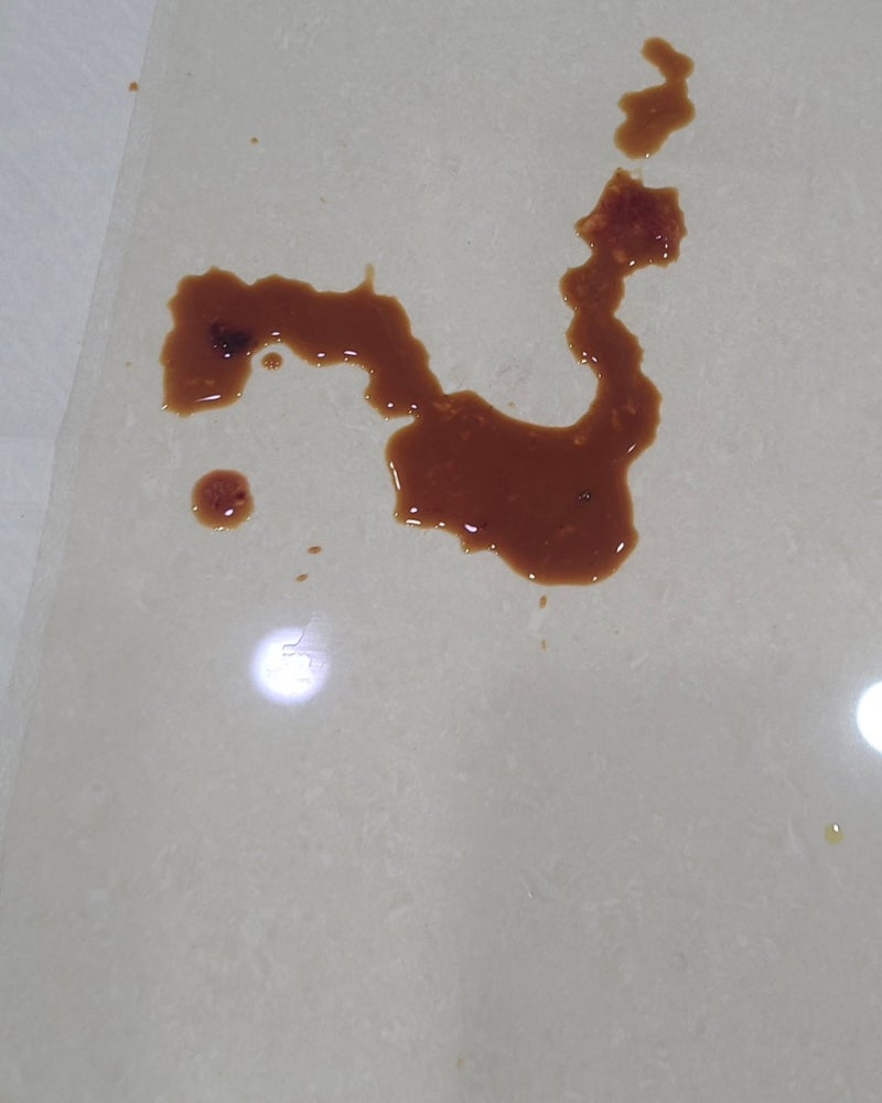 중랑구동물병원 | 강아지가 고기를 먹고 구토•혈변을 봐요, 급성 위장염 치료 사례