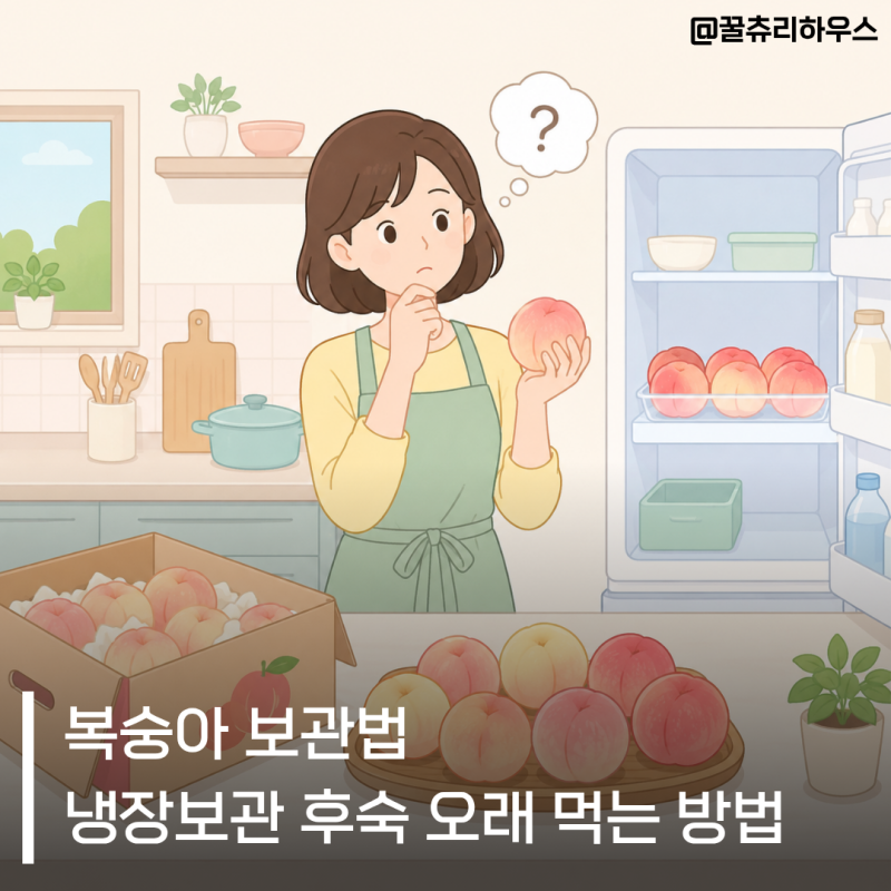 복숭아 보관법 냉장보관 후숙 오래 먹는 방법