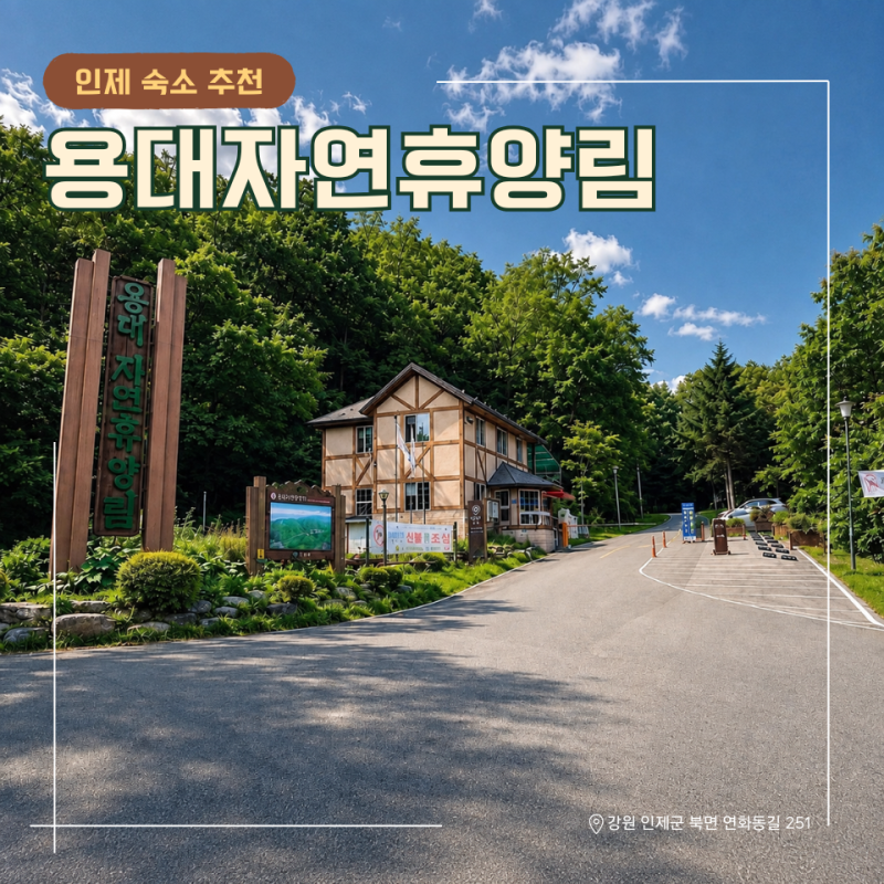 용대자연휴양림 인제 숲속 숙소 예약 성공 시 후회 없는 만족감!